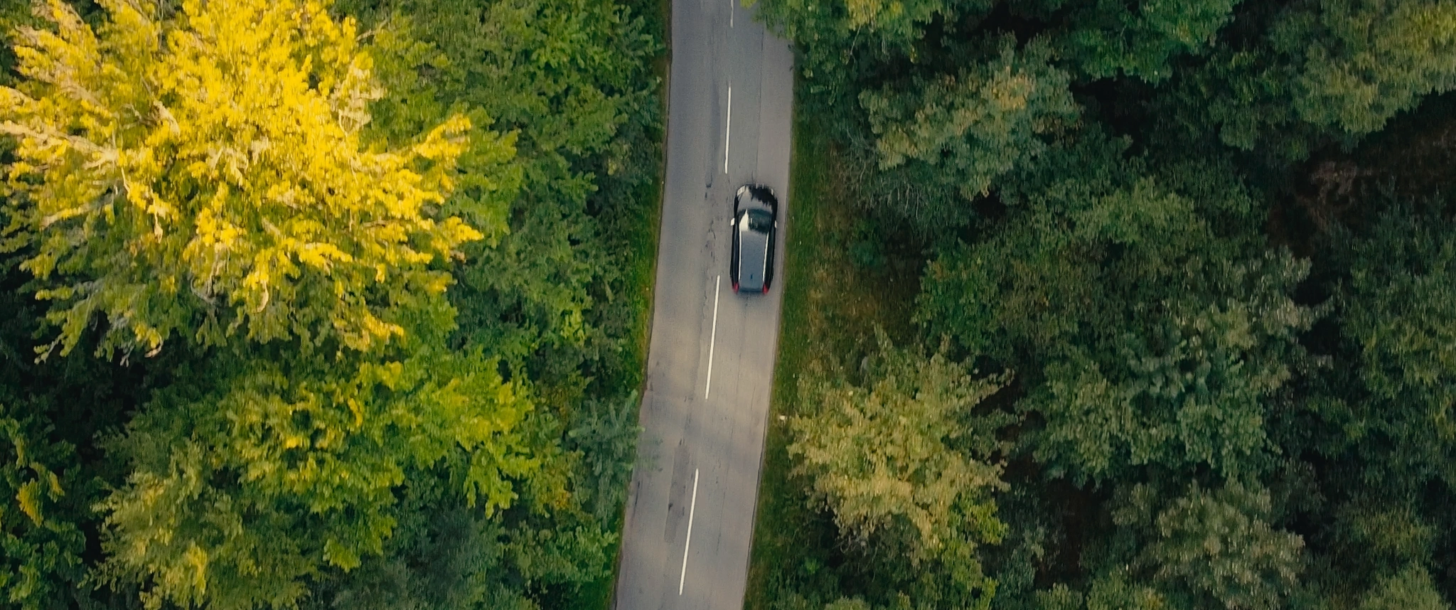 Frame from Vi Lyser I Mørket